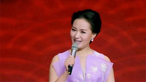 雷佳乡愁视频,雷佳演绎家乡情怀