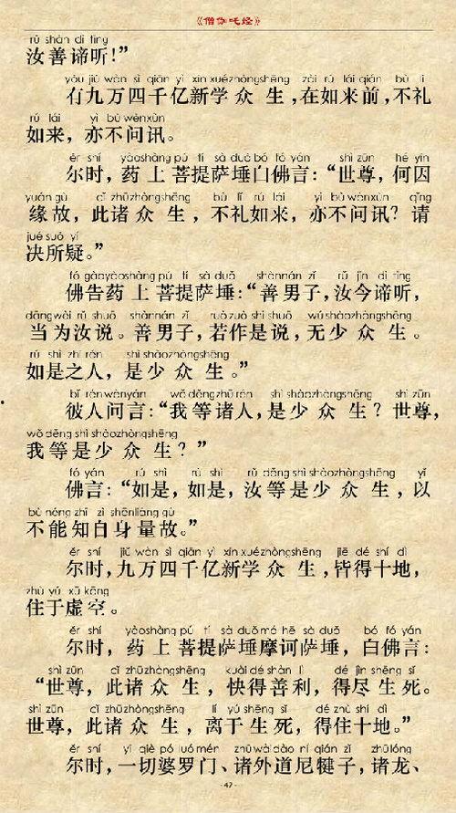 僧伽吒经视频,揭示宇宙奥秘的智慧之光