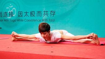 中国瑜伽在线视频,轻松入门，享受健康生活