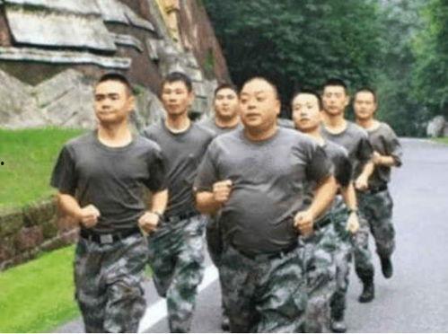 王肃满让路视频,彰显谦逊礼仪的感人瞬间