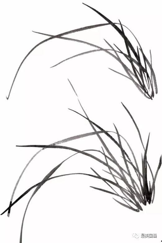 兰草画法视频,一招一式，尽展兰花神韵