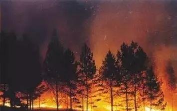 大兴安岭火灾视频