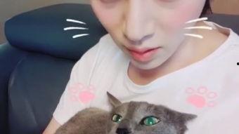 希范视频,揭秘科技与生活的完美融合