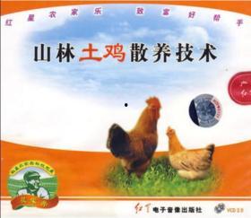 养笨鸡视频,从视频学习高效养鸡技巧