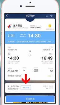 值机视频,高效便捷的登机体验全解析