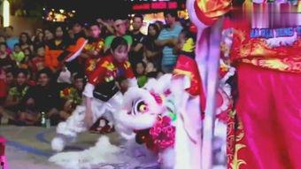 舞师视频表演,揭秘舞师视频表演的艺术魅力