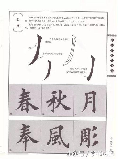 书法楷书视频,跟随视频领略经典笔法与韵味